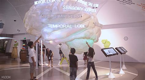 mind museum entrance|Everything You Need to Know about The Mind .